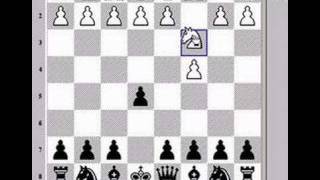 Chess Lesson Basic Opening Principles [upl. by Grosz]