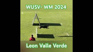 WUSV WM 2024  Leon Valle Verde [upl. by Caralie]