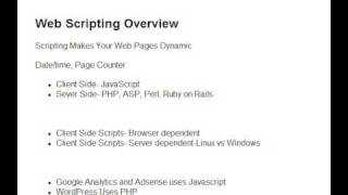 Web Scripting Explained for Beginners [upl. by Hollie337]