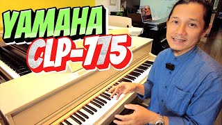 Review piano điện Yamaha CLP775 [upl. by Nahgrom]