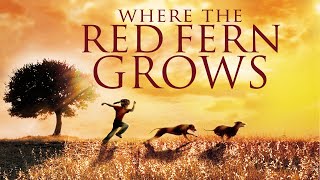 Where the Red Fern Grows 1974  Full Movie  James Whitmore  Beverly Garland  Jack Ging [upl. by Marmawke744]