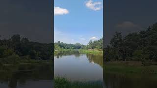 Wielkopolski Park Narodowy travel nature polska poland polonia polnisch shortsvideo shorts [upl. by Endys905]