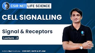 Types of Cell Signalling Paracrine amp Endocrine Signalling  Signalling Molecule amp Receptors [upl. by Delinda]