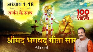 श्रीमद भगवद गीता सार  संपूर्ण गीता  Bhagawad Geeta All Chapters With Narration Shailendra Bharti [upl. by Sedgewinn]