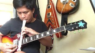 RECORDER Soprano vs Alto vs Guitar Comparison [upl. by Ynaittirb]