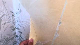 Easiest Way to Remove Wallpaper [upl. by Storfer]