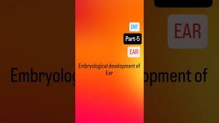 Embryological development of Ear neet medical neetpg ent medico marrow mbbs [upl. by Mode84]