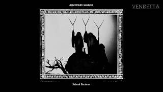 Spectral Wound  Infernal Decadence Full Album [upl. by Akimad107]