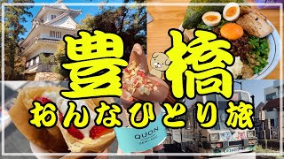 【豊橋女ひとり旅】路面電車でグルメ・スイーツ・喫茶店巡り【購入品紹介】vlog８ [upl. by Cilla115]