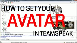 Set Your Avatar in Teamspeak 3 [upl. by Anaujait]