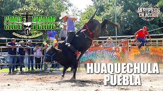 JARIPEO PATRIO Rancho Cruz Verde De Huaquechula Puebla 2024 Convivencia entre Amigos Ganaderos [upl. by Tnerb]