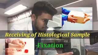 Histopathology  Receiving of sample [upl. by Osnofla]