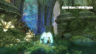 GW2 WvW  Herald  Indo Domination [upl. by Lemuel]