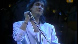 Roberto Carlos Un Gato En La Oscuridad Festival de Viña 1989 [upl. by Dinnage]