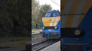 Infrabel Hld 6331 Passeert als Losse Loc langs Hever station Lijn53 op 22102024 [upl. by Soelch]