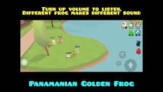 Play Together  Panamanian Golden Frog [upl. by Henson]