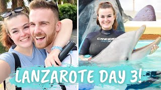 LANZAROTE VLOG NOVEMBER 2021  DAY 3 DOLPHIN EXPERIENCE amp A FULL DAY AT RANCHO TEXAS PARK [upl. by Itoc622]