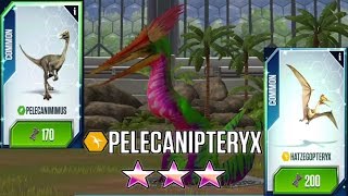 Pelicanipteryx Pelecanimimus Hatzegopteryx  Jurassic World The Game [upl. by Noeled499]