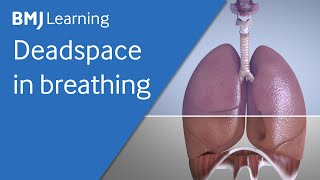 Basics of ventilation Deadspace in breathing [upl. by Efioa153]