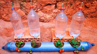 Como hacer Riego por Gotero fácil y económico con botellas de plástico reciclado Rick Garden [upl. by Cthrine]