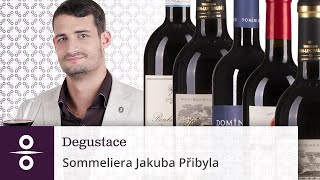 Degustace s Jakubem Přibylem Planeta La Segreta rosso  Světem Vína  SvětemVínacz [upl. by Onimixam]