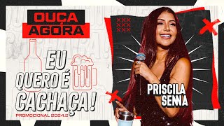 Priscila Senna  Eu Quero é Cachaça Promocional 20242 MÚSICAS NOVAS [upl. by Anrym]