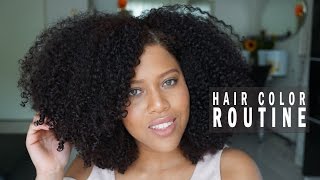 NATURAL HAIR COLOR ROUTINE Premature Graying  Samantha Pollack [upl. by Adnolrehs19]