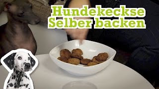 Hundekekse selber backen  Hundeleckerlis selber machen [upl. by Anawit]