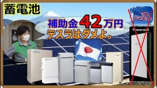 【情報】東京都の蓄電池補助金がエグい【EV Life149】 [upl. by Atsirk132]