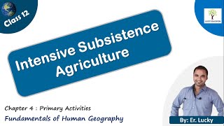 Intensive Subsistence Agriculture  Class 12 Geography [upl. by Aneev]