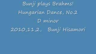 Brahms Hungarian Dance No2  D minor [upl. by Enneire277]