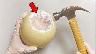 Strange Organ inside Ostrich Egg  Ostrich Egg Dissection [upl. by Morgenthaler124]