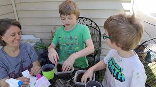 Homeschoolers Planting Kits from the Dollar Tree [upl. by Natam]