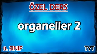 15 Organeller 2  Özel Ders 9 Sınıf [upl. by Philipson]