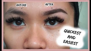 HOW TO GROOM  SHAPE EYEBROWS AT HOME EASIEST BEGINNER TUTORIAL [upl. by Tricia372]