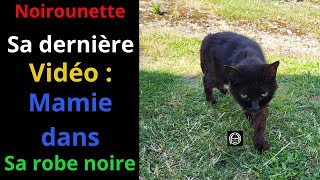 Dernière vidéo de la grandmère chat  Noirette [upl. by Storm197]