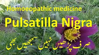 Pulsatilla in Homeopathy  treatment of changeable mental amp physical symptoms homeopathictreatment [upl. by Coney983]