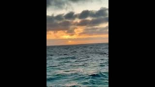 Coogee Beach Western Australia 🌅sunset timelapse [upl. by Malda]