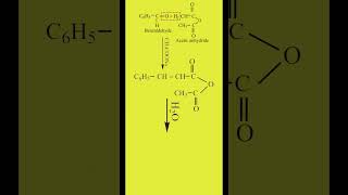 Perkins Reaction  Preparation of Cinnamic Acid  Carbonyl Compounds  Organic Chemistry Class 12 [upl. by Anaela]