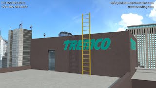 Dynarail® FRP Safety Ladder [upl. by Arvo]