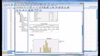 Normality Tests in SPSS [upl. by Laughry]