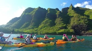 Hawaii vacation guide  WestJet Vacations [upl. by Pol655]