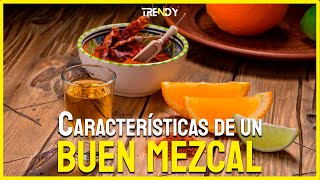 Características De Un Buen Mezcal [upl. by Thgiled]