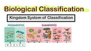 Biological Classification  Kingdoms System of Classification  Class 11th  NEET  Biocules [upl. by Annmaria668]