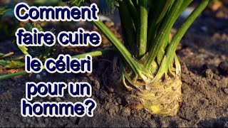 Le céleri est une herbe mâle Racine lat Apium Recette culinaire [upl. by Benita]