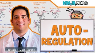 Renal  Autoregulation Updated [upl. by Marna]