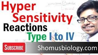 Hypersensitivity reactions type 1 type 2 type 3 and type 4 hypersensitivity [upl. by Lednik]