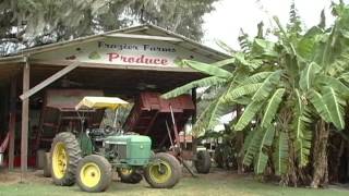 Frazier Farms Brooksville Florida Our Florida TV [upl. by Stesha]