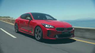 Kia Stinger [upl. by Julita]