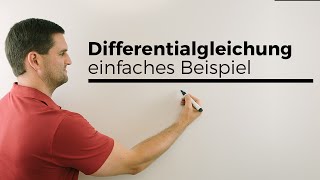 Differentialgleichung Differenzialgleichung lösen einfaches Beispiel  Mathe by Daniel Jung [upl. by Adella]